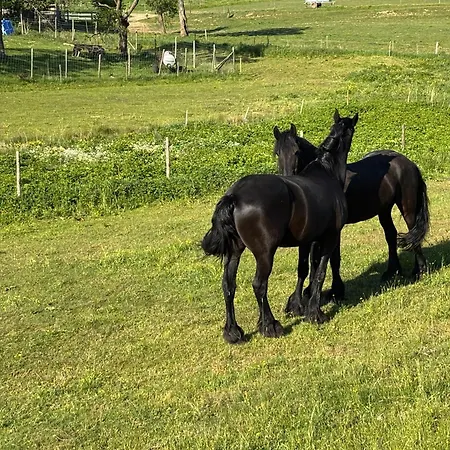 Zur Scheune Apartment *