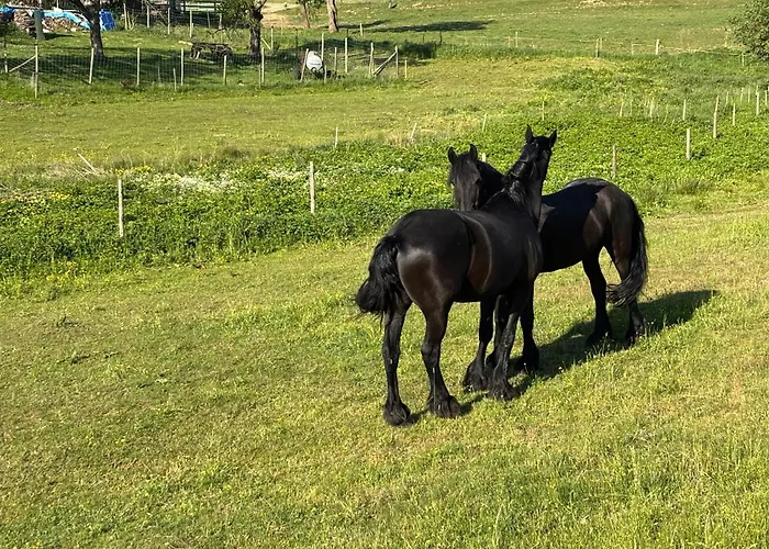 Zur Scheune Apartment *